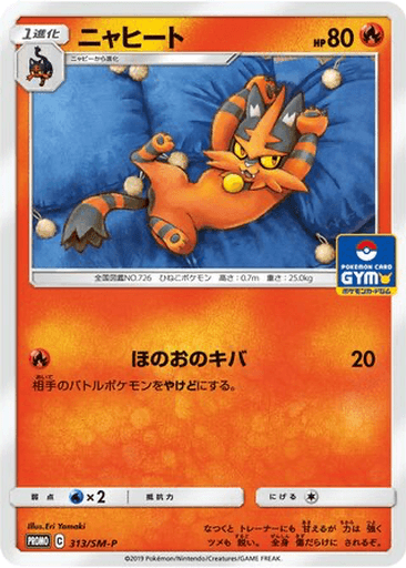 Torracat