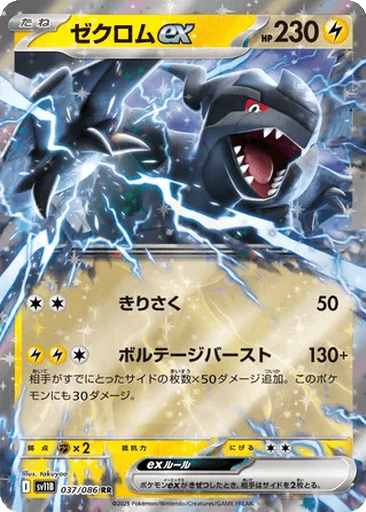 Zekrom ex