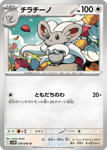Cinccino