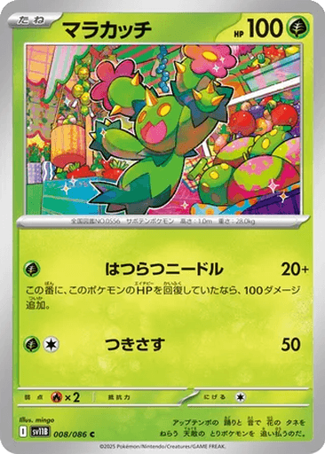 Maractus