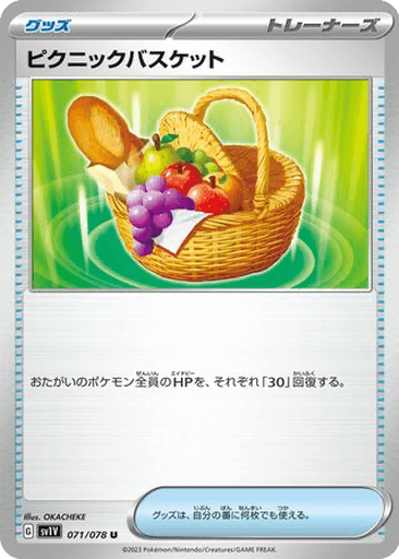 Picnic Basket