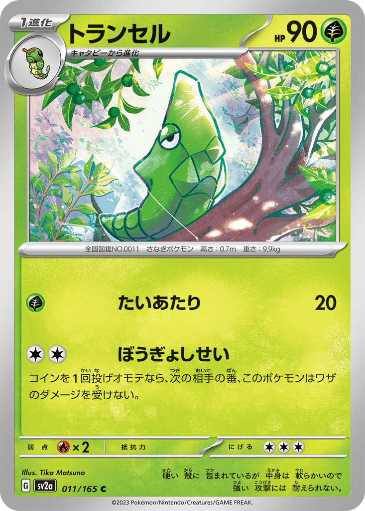 Metapod