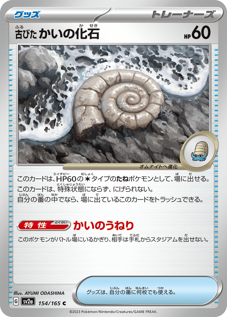 Antique Helix Fossil