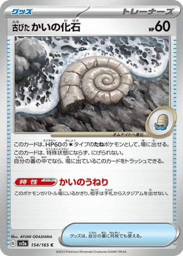 Antique Helix Fossil