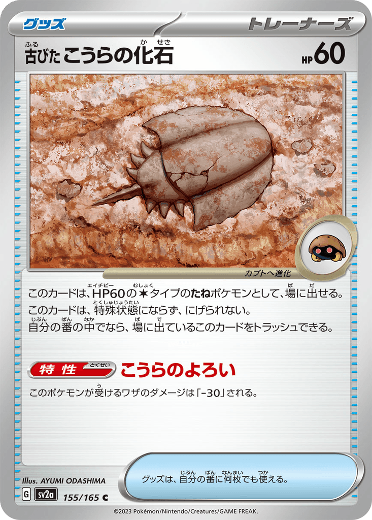 Antique Dome Fossil