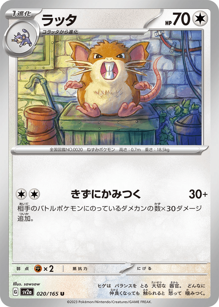 Raticate