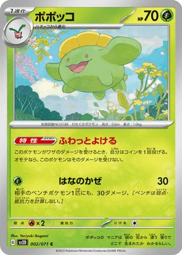 Skiploom