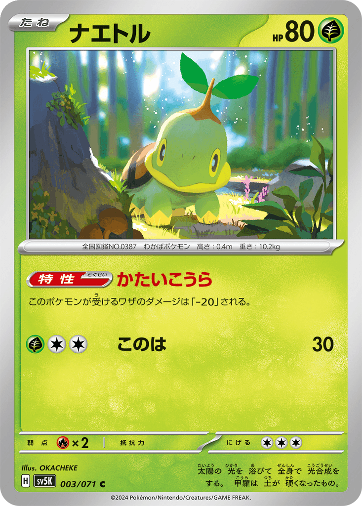 Turtwig