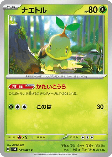 Turtwig