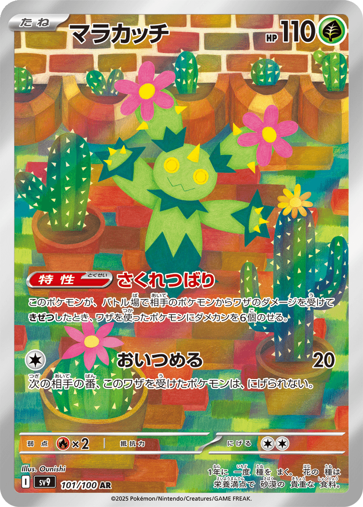 Maractus