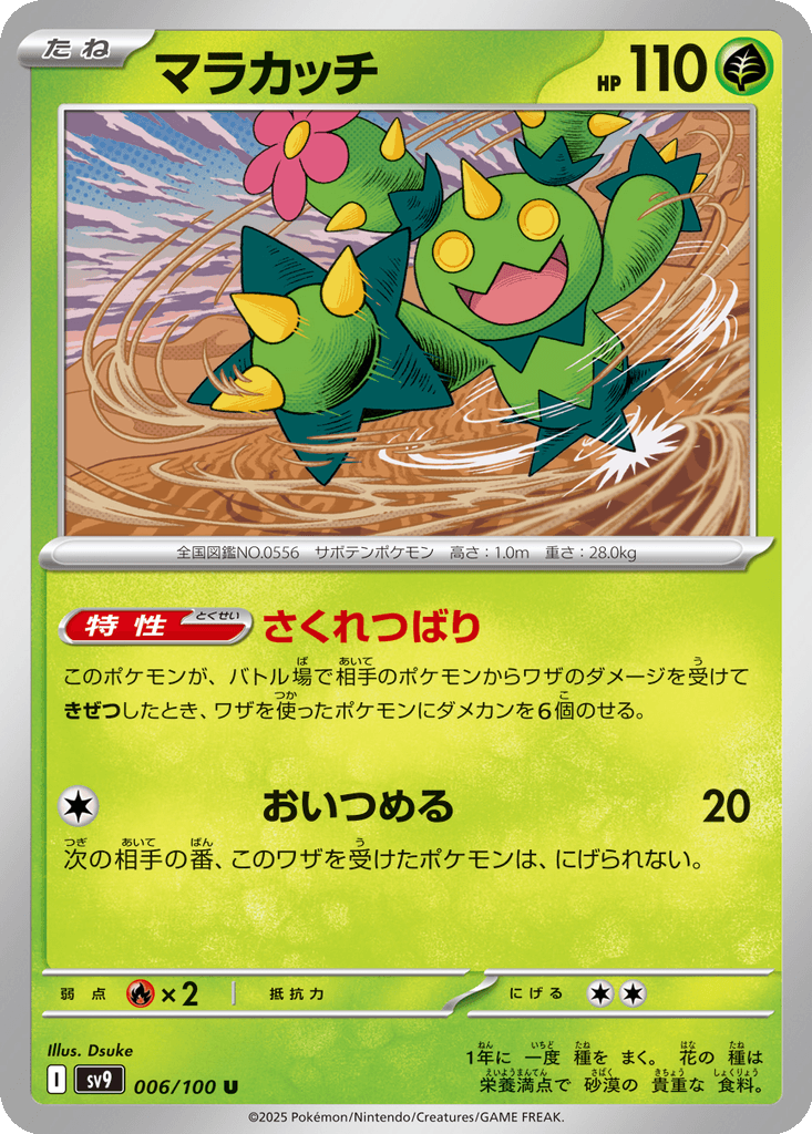Maractus
