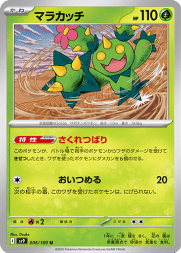 Maractus