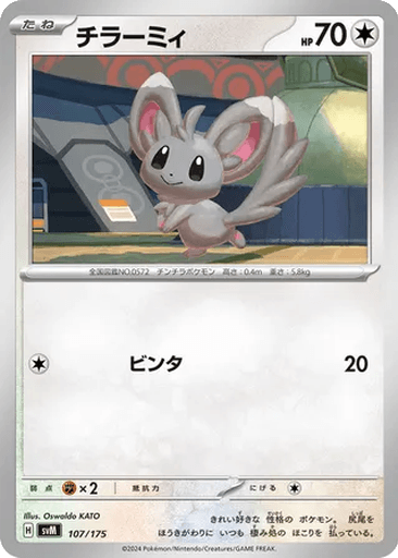 Minccino