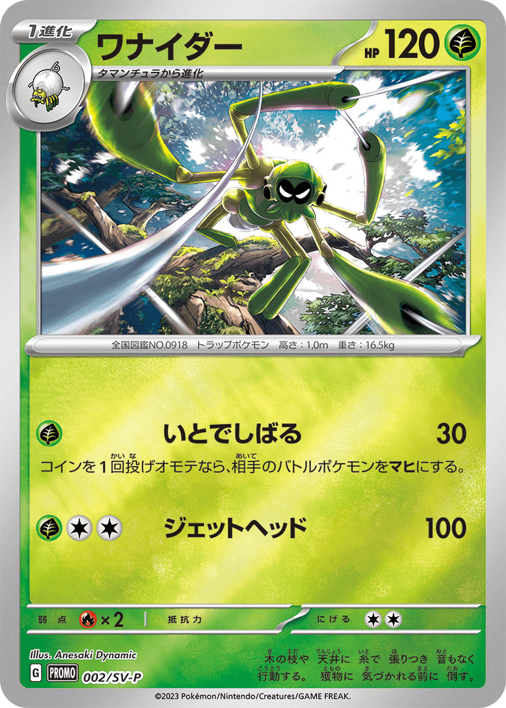 Spidops