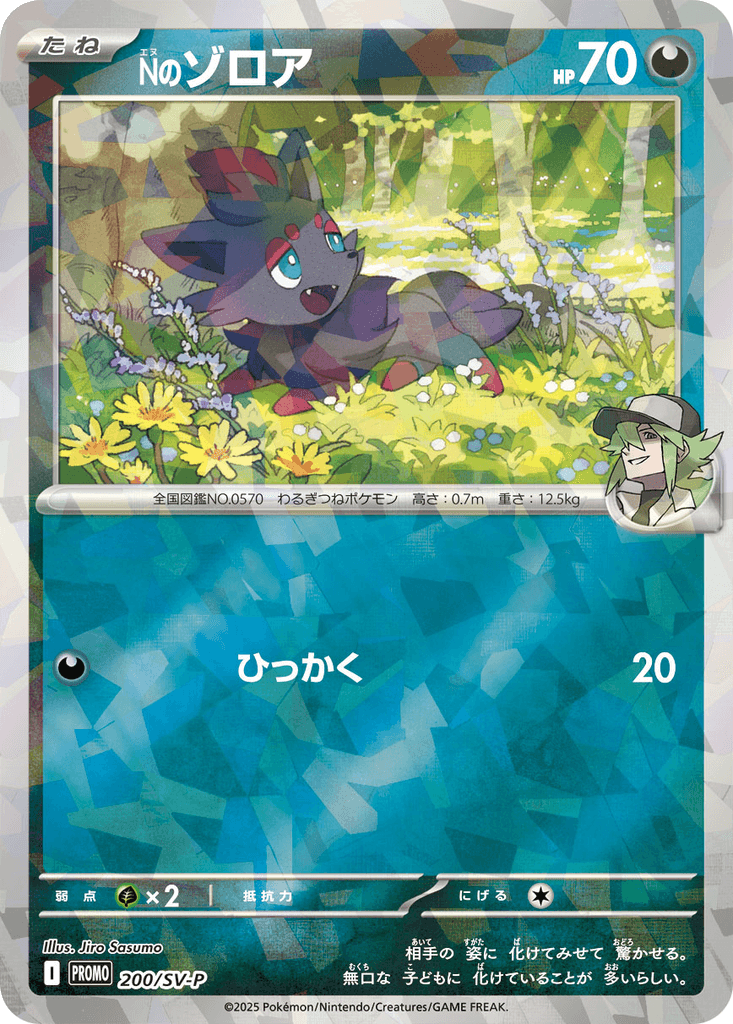 N's Zorua