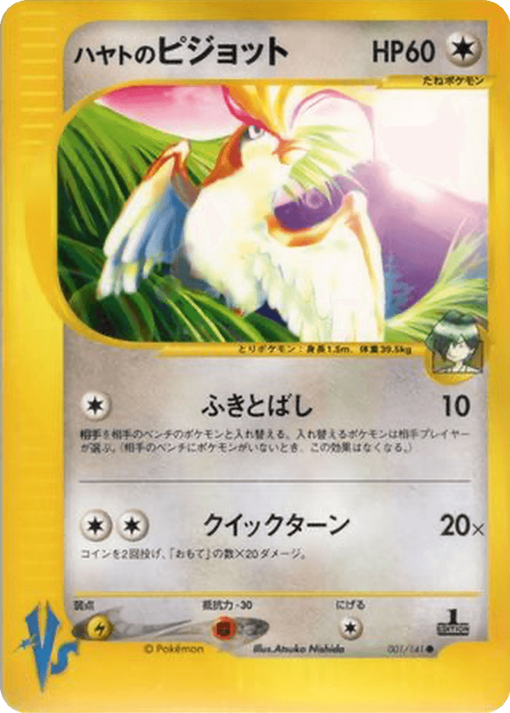 Falkner's Pidgeot