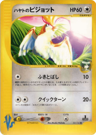 Falkner's Pidgeot