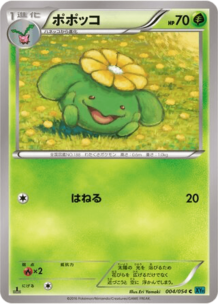 Skiploom