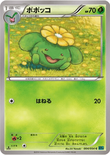 Skiploom