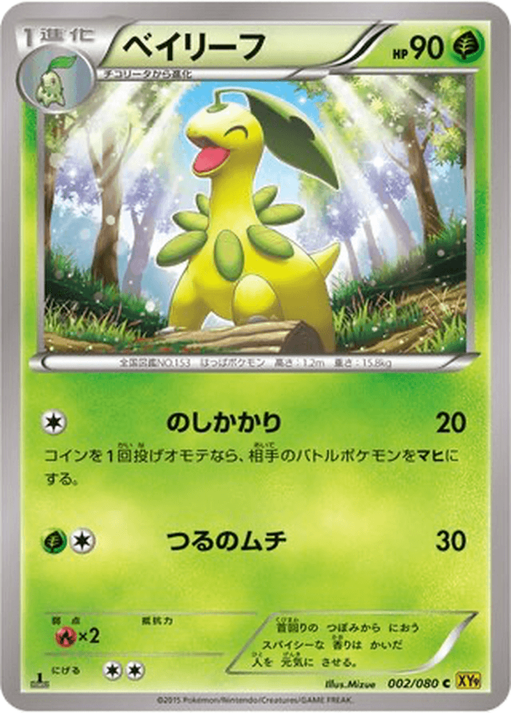 Bayleef