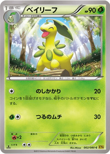Bayleef