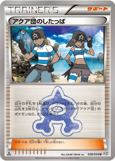 Team Aqua Grunt