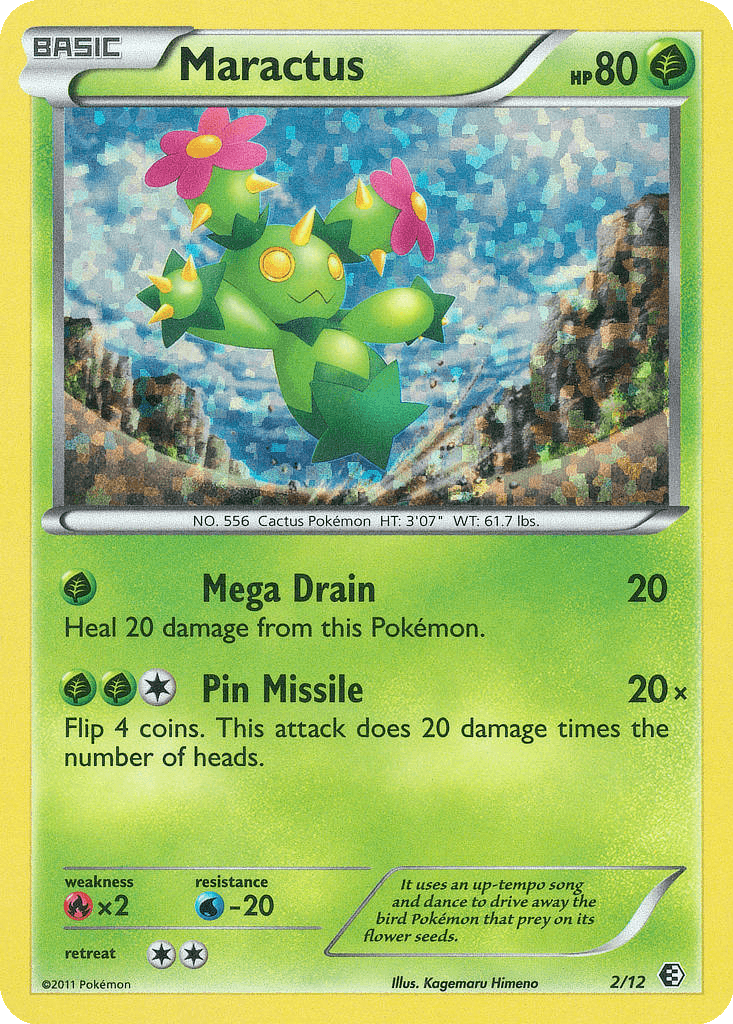 Maractus