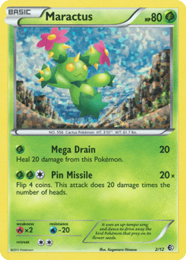 Maractus