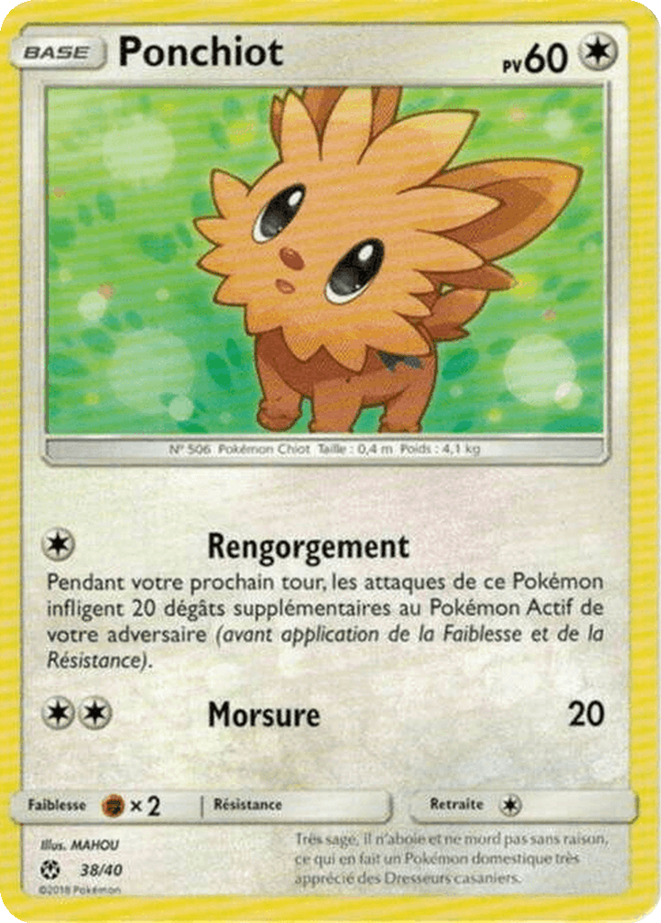 Lillipup