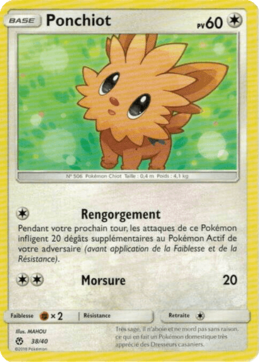 Lillipup
