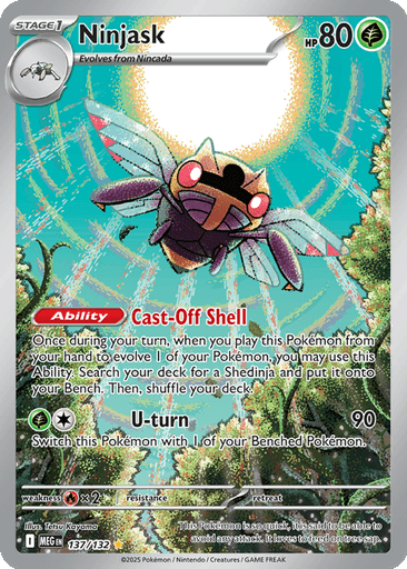 Ninjask