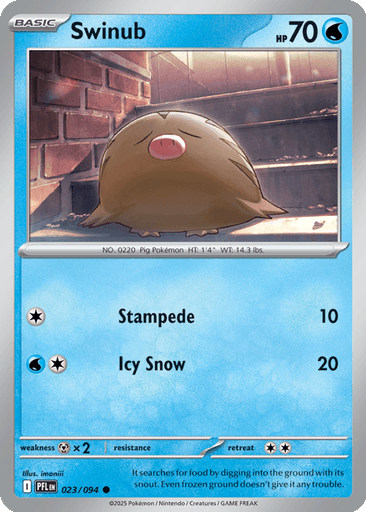 Swinub