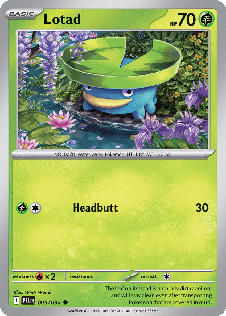 Lotad