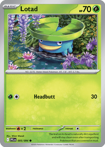 Lotad