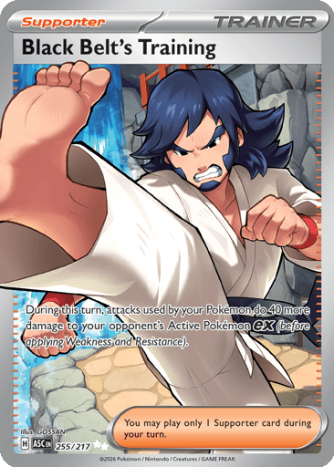 Black Belt's Training