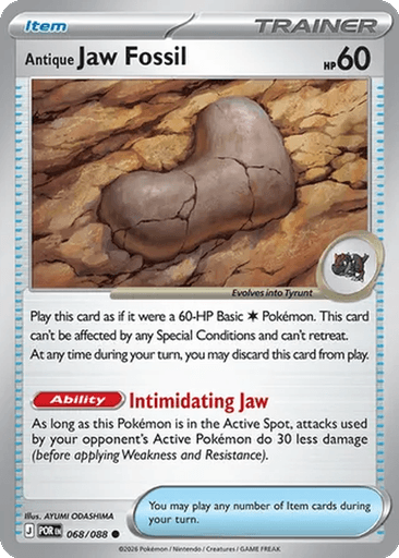 Antique Jaw Fossil