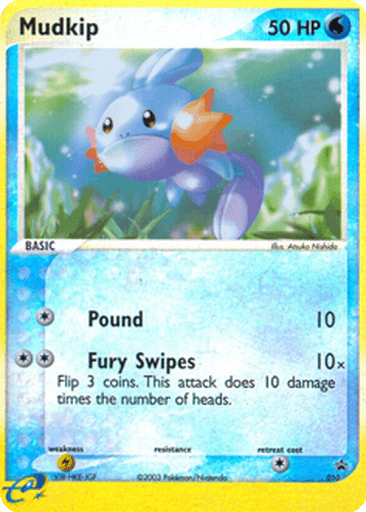 Mudkip