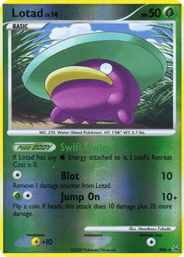 Lotad