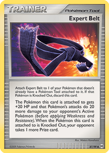 Expert Belt