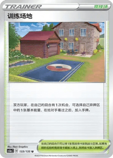 Training Court