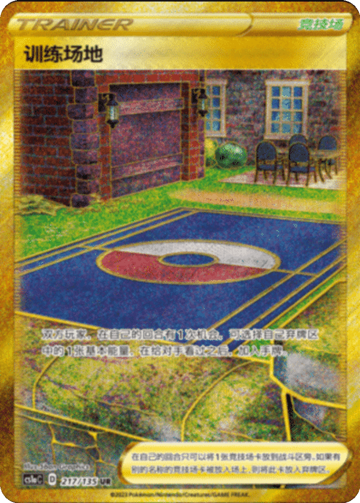 Training Court