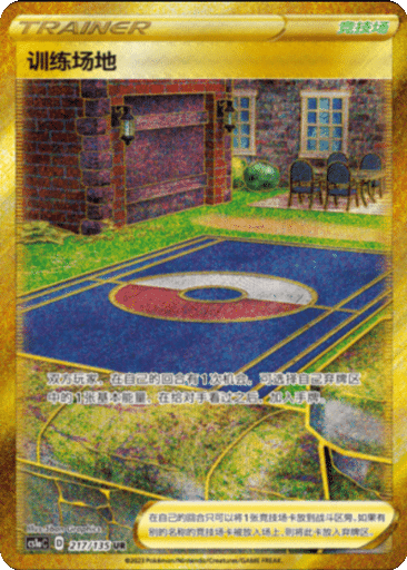 Training Court