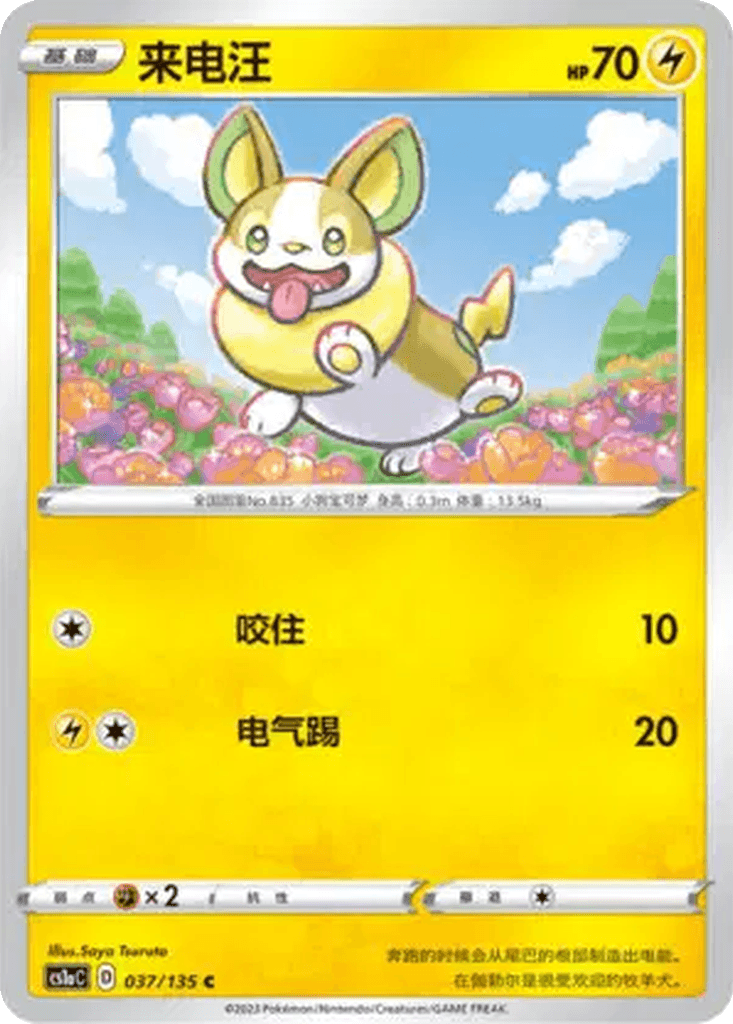 Yamper
