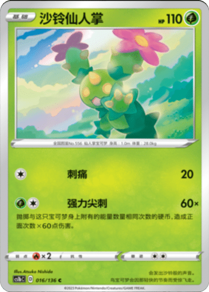 Maractus