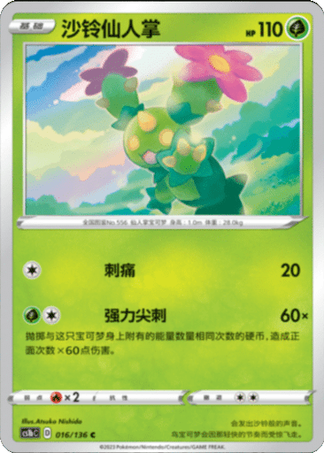 Maractus