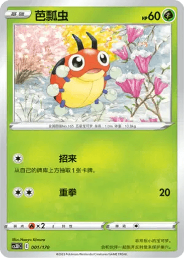 Ledyba
