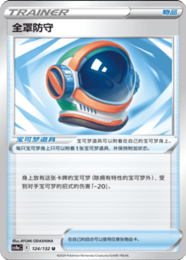 Full Face Guard