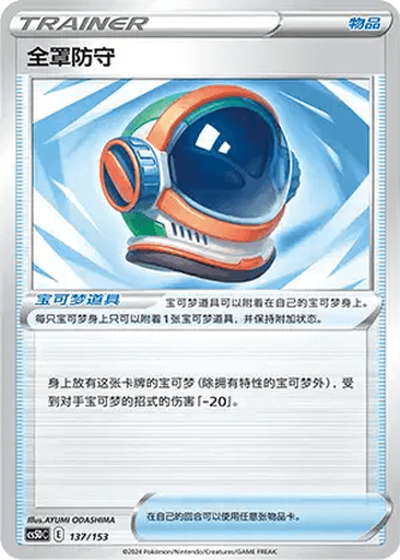 Full Face Guard