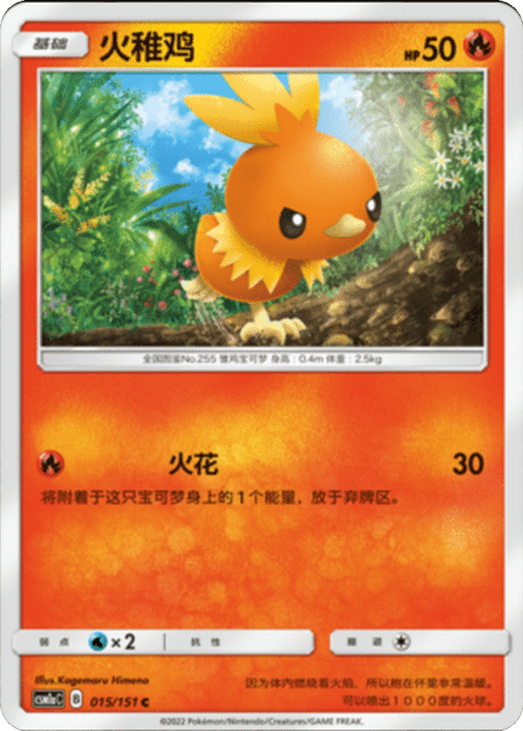 Torchic
