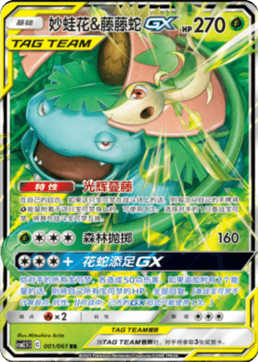 Venusaur & Snivy GX